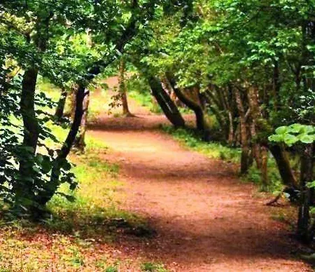 Сasa de vacaciones Moreiriña- *