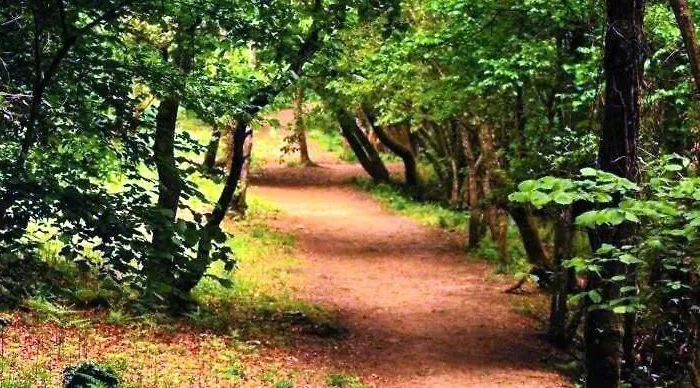 Tatil Evi Moreirina- *